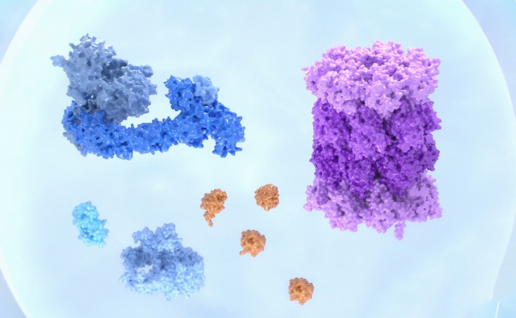 Pulmatrix and Cullgen Announce Proposed Merger