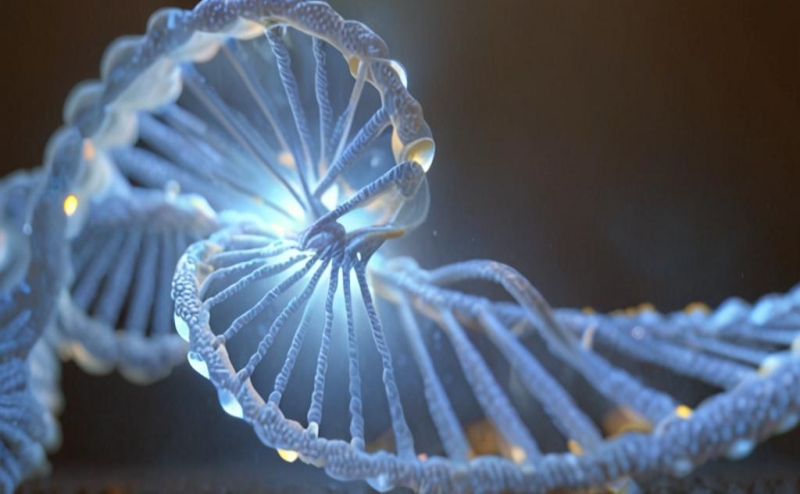 Rgenta Therapeutics Announces Strategic Alliance with GSK 
